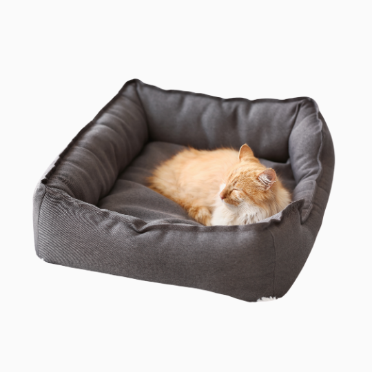Kattenmanden