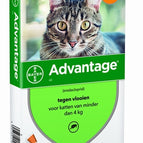 40 TOT 4 KG 4 PIP (384364)