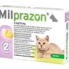 >0,5 KG 4 MG/10 MG 2 TBL (409913)