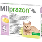 >0,5 KG 4 MG/10 MG 4 TBL (409914)