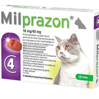 >2 KG 16 MG/40 MG 4 TBL (409916)