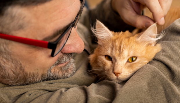 Banner image for: <h2><strong>Verwen je kat met onze heerlijke snacks</strong></h2>